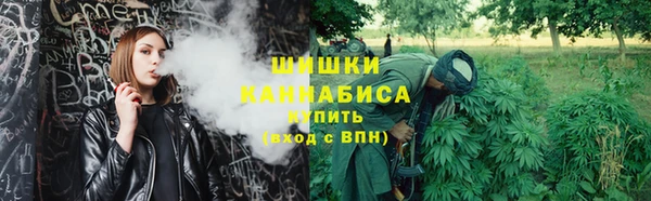 крисы Белоозёрский
